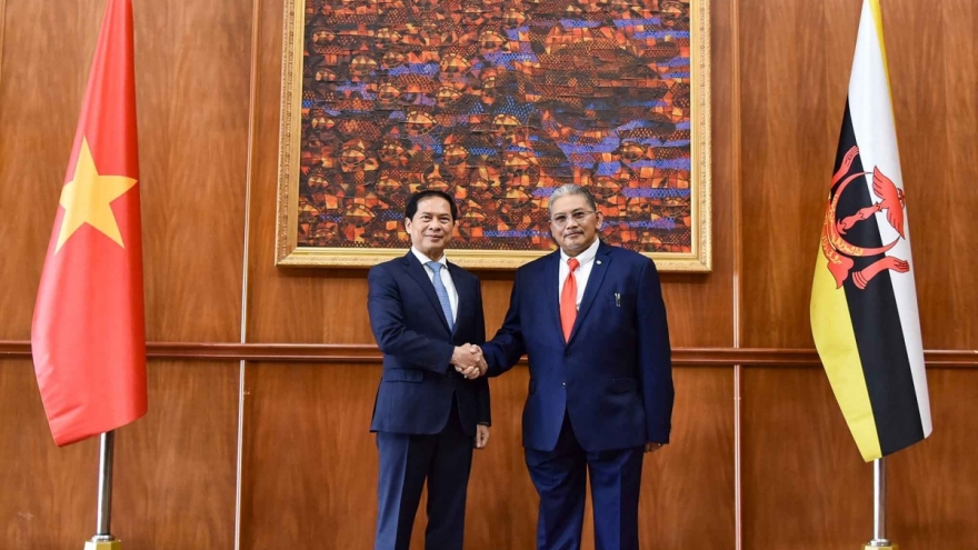 Vietnam, Brunei boost comprehensive partnership